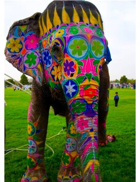 Color Is So Inspiring Elephant Love Colorful Elephant Elephant