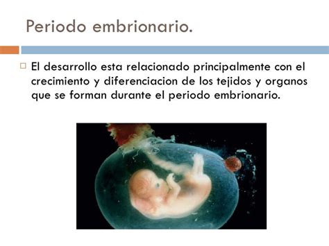 Que Diferencia Hay Entre Un Embrion Y Un Feto Esta Diferencia