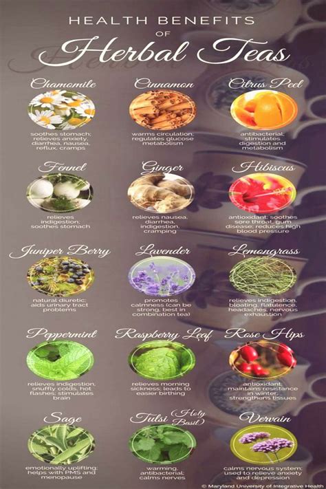 Medicinal Teas And Their Uses Charts And Recipes In 2020 Herbal Tea