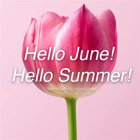 Pink Flower Photo Hello June Hello Summer Pictures Photos And