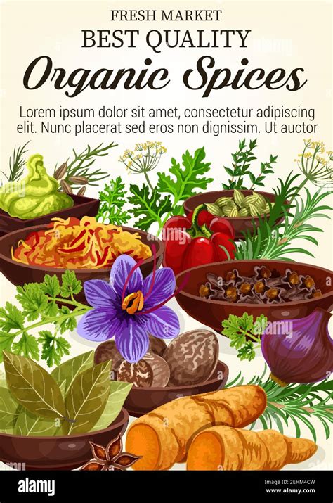 Organic Herbs And Spices Poster For Herbal Seasonings And Cooking