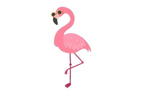 Flamingo With Sunglasses Svg Cut File By Creative Fabrica Crafts
