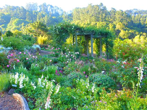 Visit California Botanical Garden At Berkeley For Relaxing And Learning