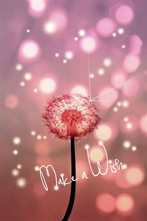 Make A Wish Poster By Monika Strigel® Displate Birthday Quotes