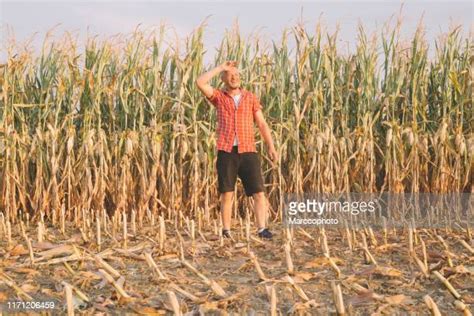 worker agricultural sweat photos and premium high res pictures getty images