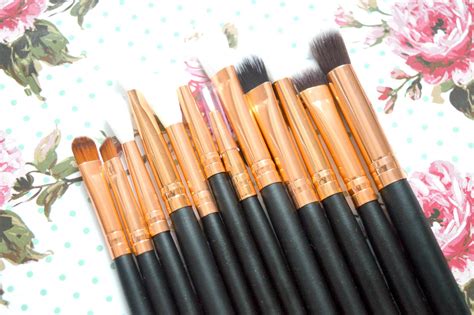 The 12 Piece Professional Makeup Brush Set That Cost Me