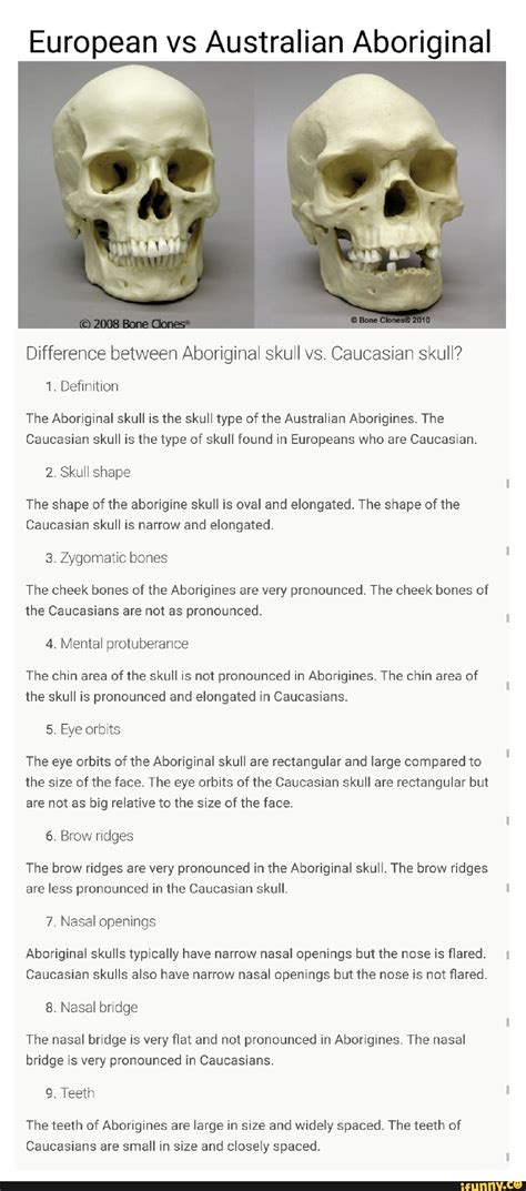 European Vs Australian Aboriginal Difference Between Aboriginal Skull