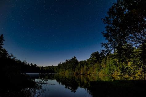 Forest Night Lake Scenic Water Travel Forest Night Lake