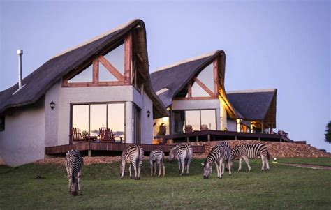 Mountain Zebra National Park Cradock Eastern Cape South Africa