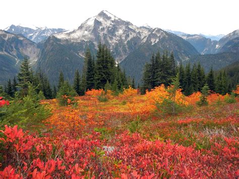 Mineral Mountain And Fall Colours North Cascades National Park From