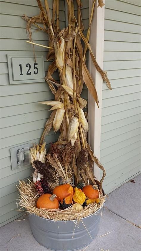 They can be coloured, wrapped in garland, and hung up around other decorations to accentuate the decorations. 49 best CORN Stalk Decor images on Pinterest | Corn stalks ...
