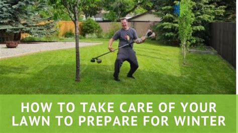 How To Take Care Of Your Lawn To Prepare For Winter Scoop Cut N Shovel