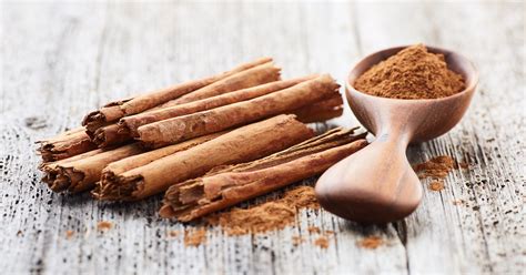 Cinnamon More Than A Spice — Solidago School Of Herbalism