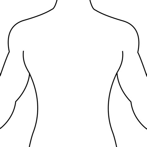 Outline Drawing Of The Human Body Clip Art Library
