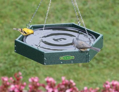 This is necessary to make the birds feel less vulnerable while they bathe. Use Drippers to Attract More Birds With Moving Water | Hanging bird bath, Bird bath, Bird bath ...