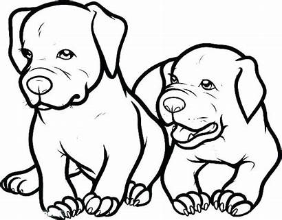 Pitbull Coloring Pages Dog Puppy Nose Drawing