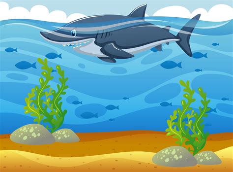 Wild Shark Swimming Under The Ocean 369593 Vector Art At Vecteezy