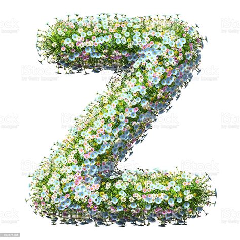 Starting from being a shrub, this can grow up to 7 meters. Letter Z Of Flowers Stock Photo - Download Image Now - iStock