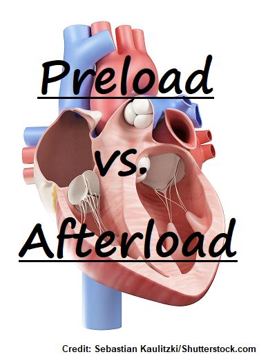 Sarah Bsn Rn — Preload Vs Afterload Heart Nursing Quiz
