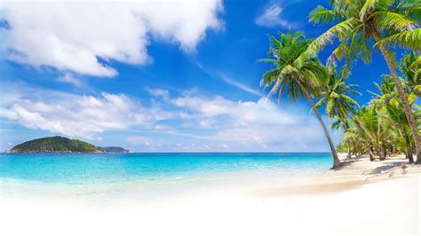 Azure Sea Caribbean Tropical Islands Resort Beach 4k