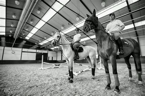 Raphael Macek Horses Horse Rider Equestrian