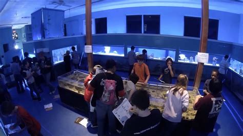 Marine Science Education Center 5th Grade Field Experience