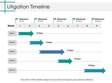 Litigation Timeline Ppt Styles File Formats Graphics Presentation