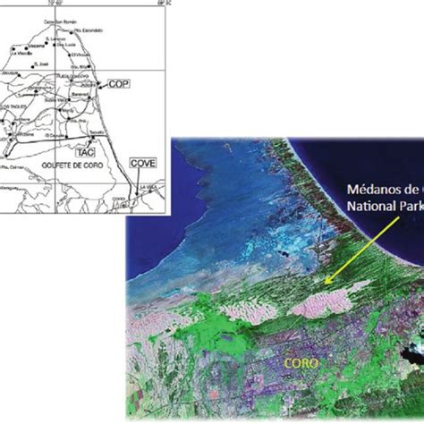 7 Collection Sites Of Psammophytes In The Paraguana Peninsula In