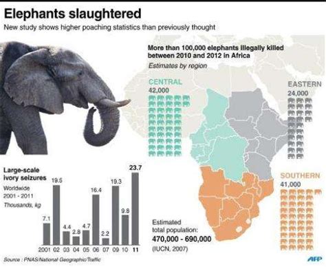 Wildlife Wikileaks Targets Africa Poaching Elite