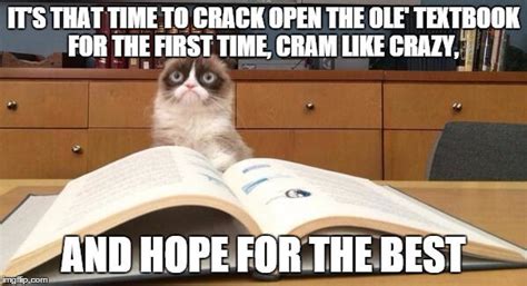 Cat Memes To Get You Through Finals