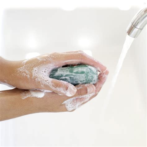 Person Washing Hands With Soap In Washbasin Amphibian Rescue And