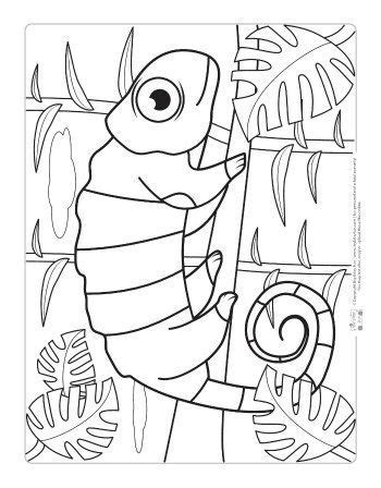 Safari and Jungle Animals Coloring Pages for Kids Jungle Coloring Pages