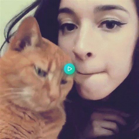 Little Kitty Kisses