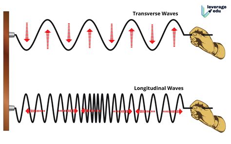 Transverse Vs Longitudinal Wave Leverage Edu