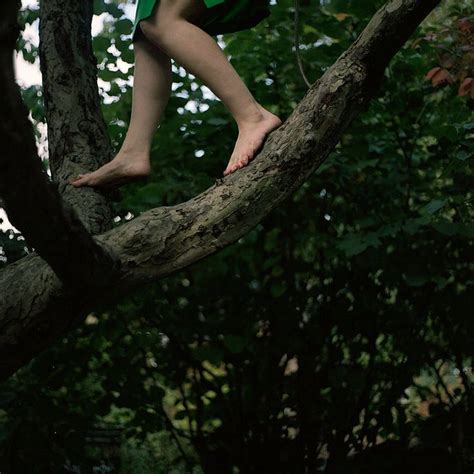Barefoot Tree Climbing Aesthetic Photography Green Aesthetic