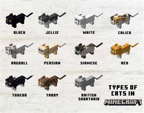 Minecraft Cat Breeds Chart