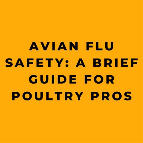 Avian Flu Safety A Brief Guide For Poultry Pros Online Safety Trainer