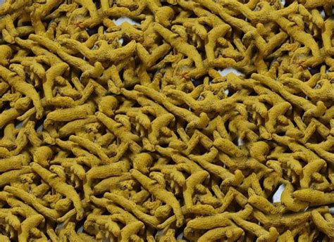 Nizamabad Double Polished Bold Turmeric Finger Kg At Best Price In