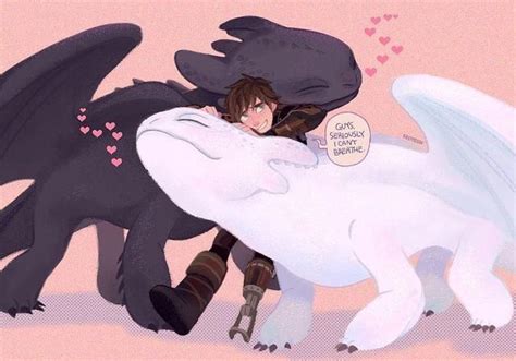 Hiccup Toothless And The Light Furt How Train Your Dragon How To Train Your Dragon How To