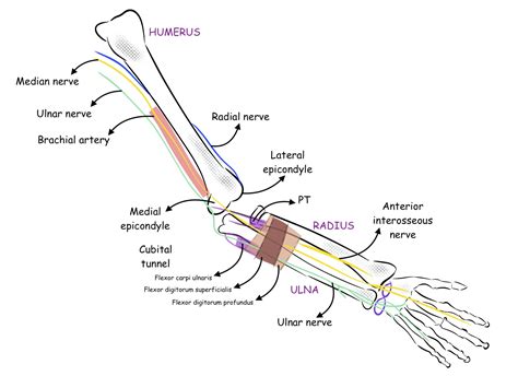 How I Do It Distal Upper Extremity Ultrasound Guided Nerve Blocks