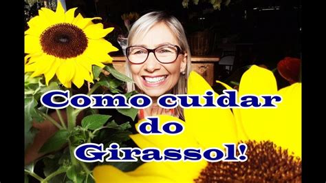 Total 80 Imagem O Que Fazer Quando A Flor Do Girassol Murcha Br