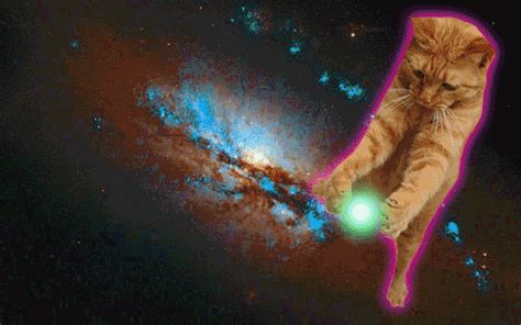 Via GIPHY Positively Cosmic Space Cat Cat Gif Cats