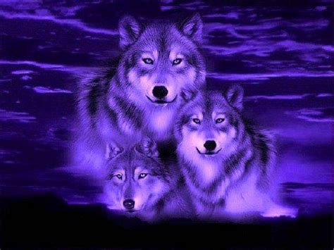 Only the best hd background pictures. Fantasy Wolf Wallpapers - Wallpaper Cave