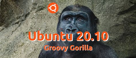 Groovy Gorilla Ubuntu 2010 Revela Su Nombre En Clave Y Fecha De