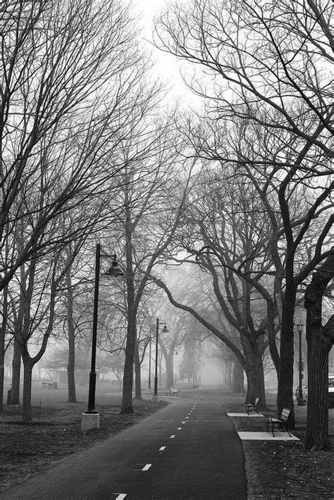Foggy Morning Green Park Instagram