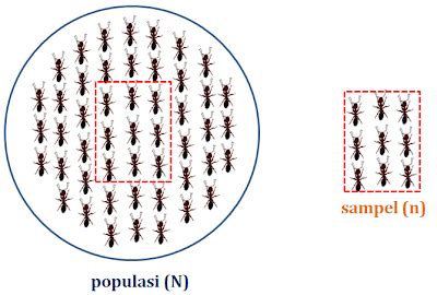 Mengapa Jumlah Sample Minimun 30? | Ray Blog