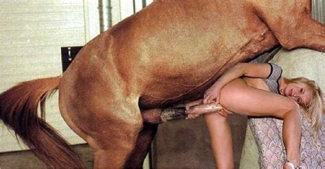 Donkey Sex Women Photos Porn Pic