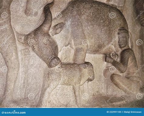Ancient Carvings Of A Man Milking A Cow On The Wall Of The Krishna Mandapa Cave Editorial Image