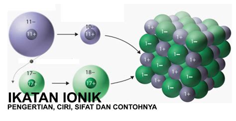 Pengertian Senyawa Ion Dan Senyawa Kovalen Alison Kerr