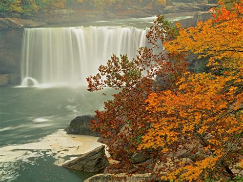 Autumn Falls Desktop Wallpaper